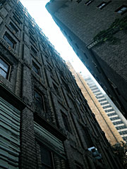 Crysis 2 backyard